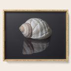 Seashell snail reflection Serving Tray Gallery Image 1