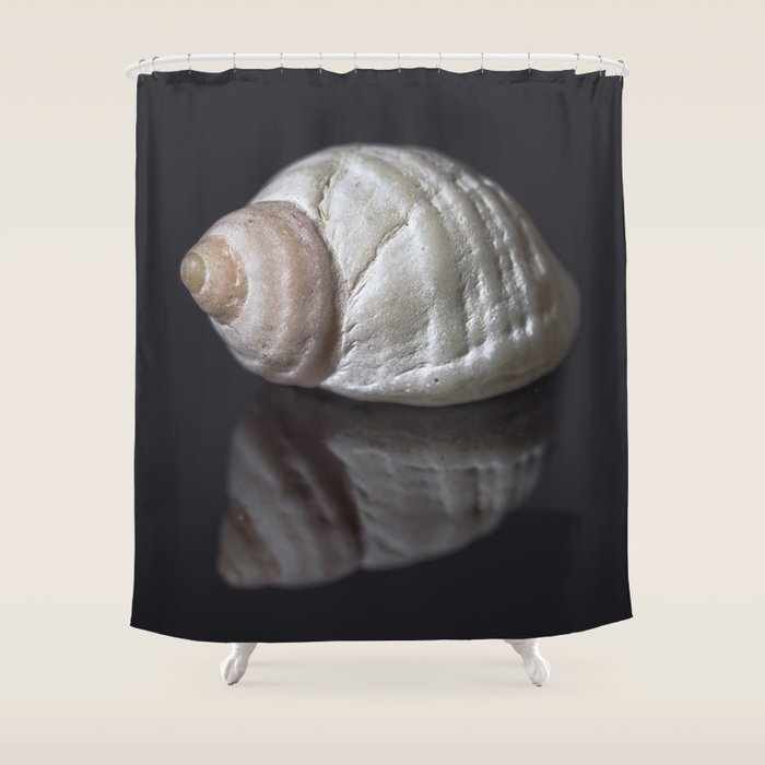 Seashell snail reflection Shower Curtain Gallery Image 1
