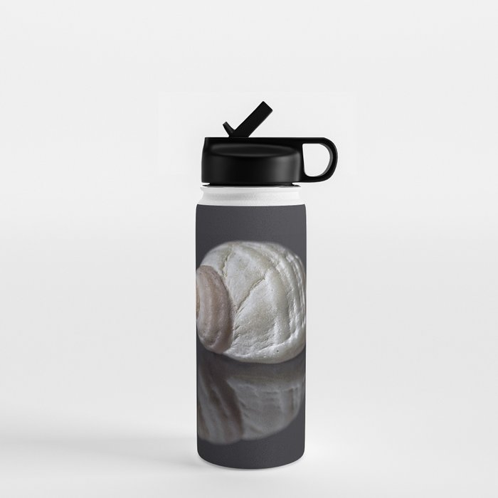 Seashell snail reflection Water Bottle