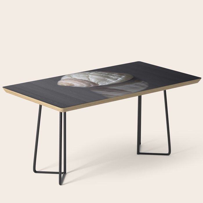 Seashell snail reflection Coffee Table Gallery Image 1