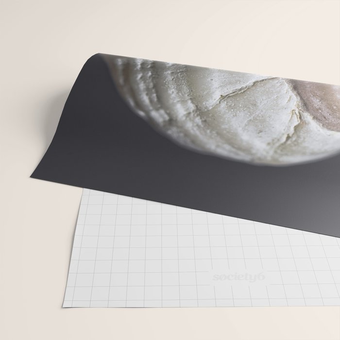 Seashell snail reflection Wrapping Paper Gallery Image 2