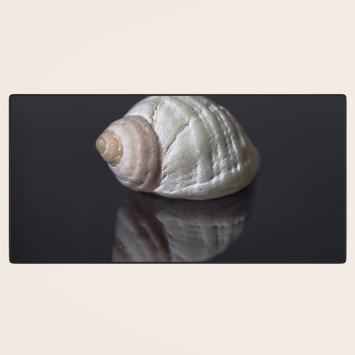 Seashell snail reflection Desk Mat Gallery Image 3