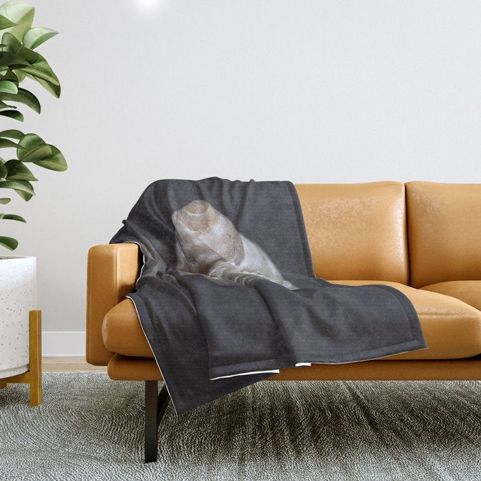 Seashell snail reflection Throw Blanket Gallery Image 1