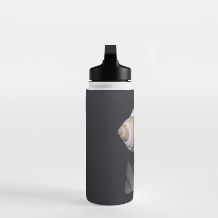 Seashell snail reflection Water Bottle Gallery Image 3