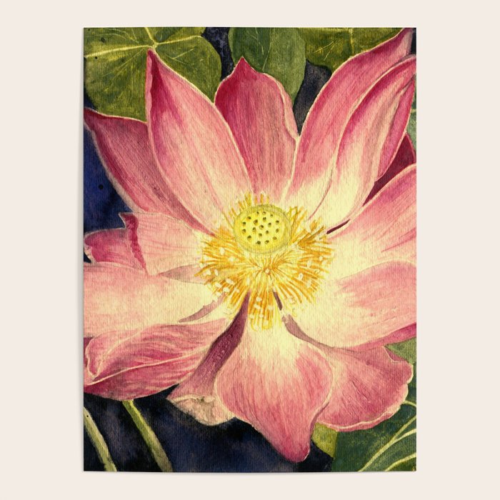 Big Lotus Watercolor Poster Gallery Image 4