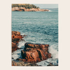 Wild Coast Poster Gallery Image 4
