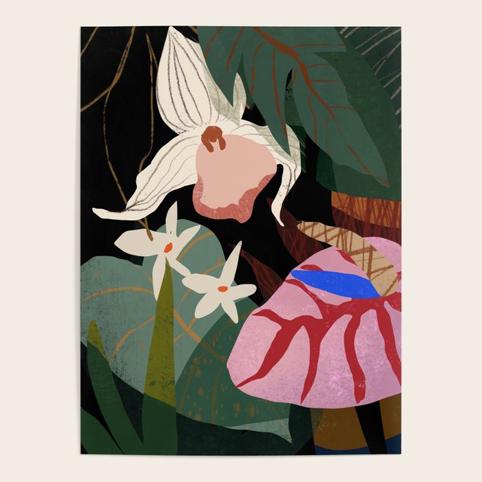 Orchid Poster Gallery Image 4
