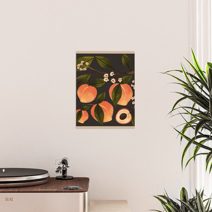 Peaches Botanical Art 1 Poster Gallery Image 2