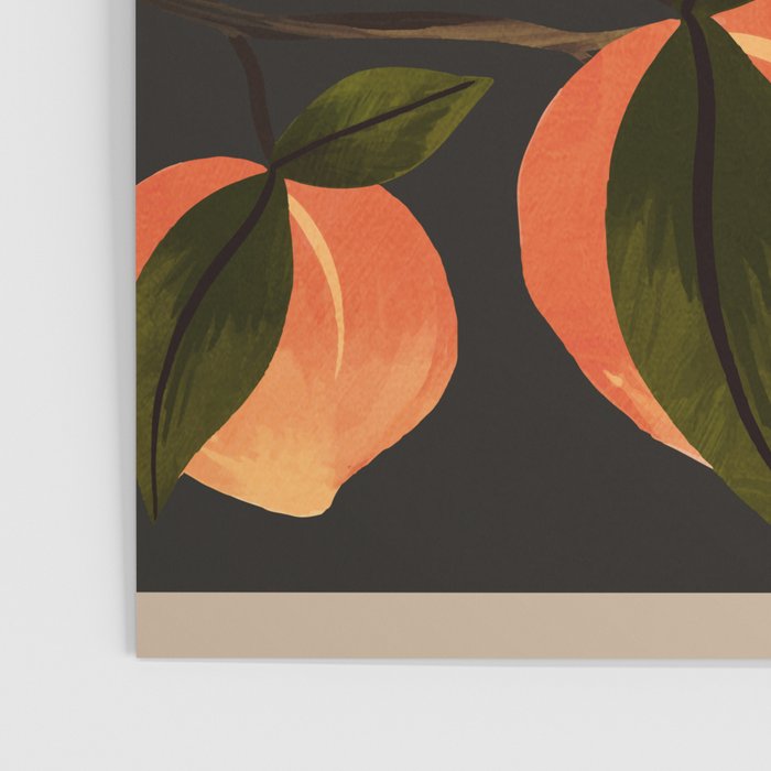 Peaches Botanical Art 1 Poster Gallery Image 3