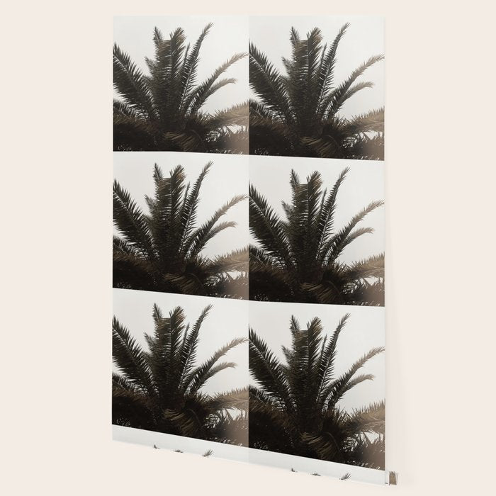 Tropical Jungle Vibes Wallpaper Gallery Image 2