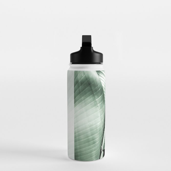 Banana leaf akin Water Bottle Gallery Image 3