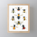British Bees Mini Art Print Gallery Image 1