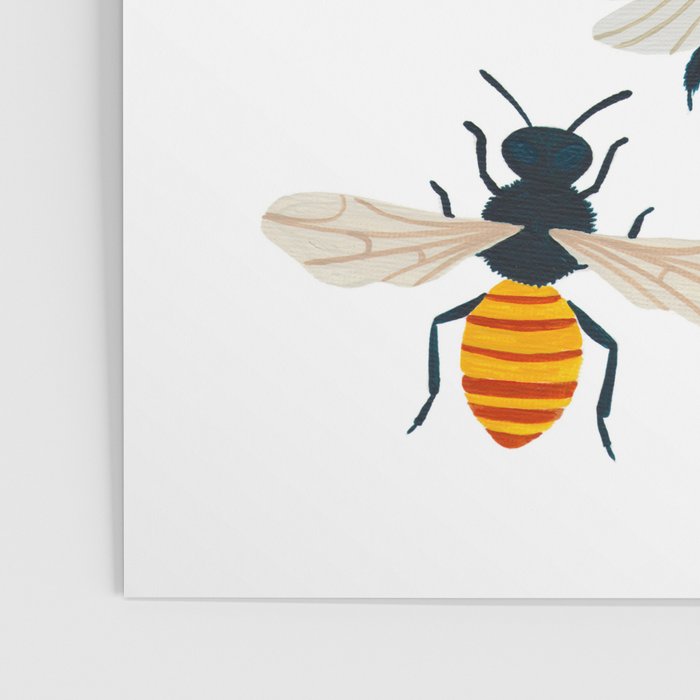 British Bees Poster Gallery Image 3