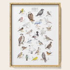 Birds of the Pacific Northwest Serving Tray Gallery Image 1