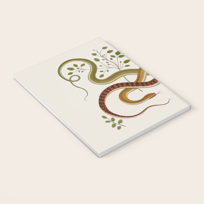 Snakes by Albertus Seba Notebook Gallery Image 3
