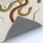Snakes by Albertus Seba Rug Gallery Image 4