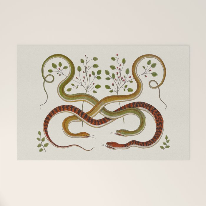 Snakes by Albertus Seba Welcome Mat Gallery Image 1