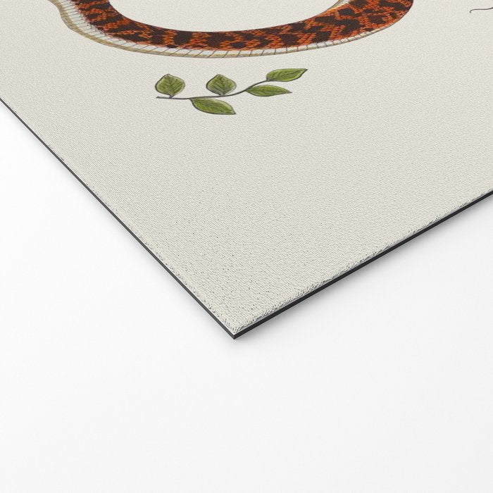 Snakes by Albertus Seba Welcome Mat Gallery Image 2