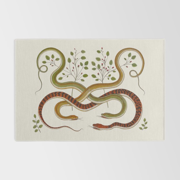 Snakes by Albertus Seba Rug Gallery Image 2