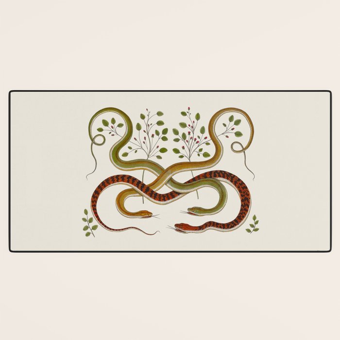 Snakes by Albertus Seba Desk Mat Gallery Image 3