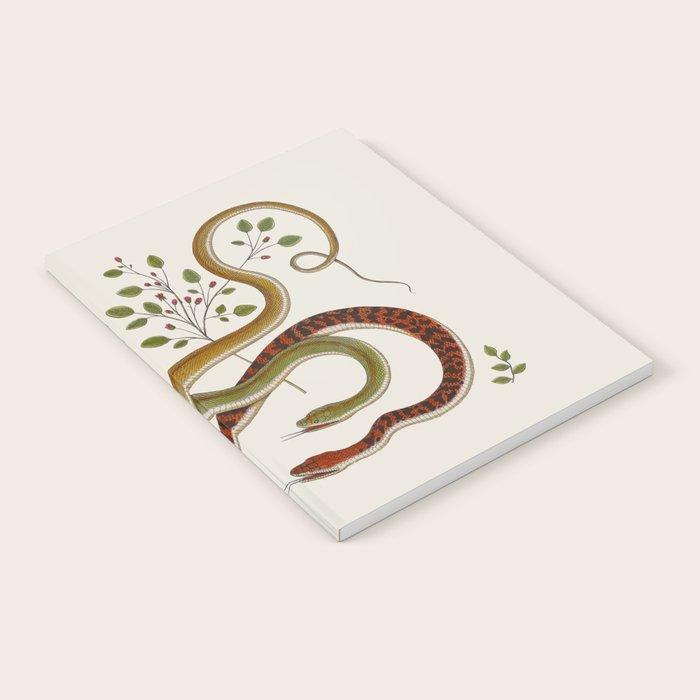 Snakes by Albertus Seba Notebook Gallery Image 2