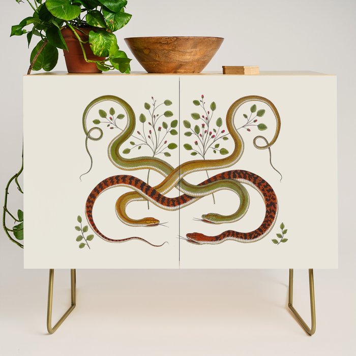 Snakes by Albertus Seba Credenza Gallery Image 1