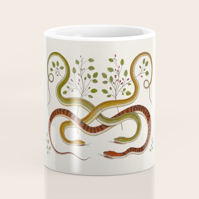Snakes by Albertus Seba Coffee Mug Gallery Image 4