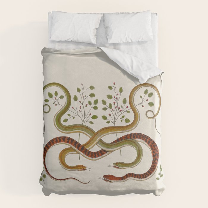 Snakes by Albertus Seba Duvet Cover Gallery Image 1