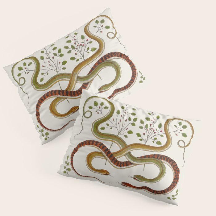 Snakes by Albertus Seba Pillow Sham Gallery Image 3