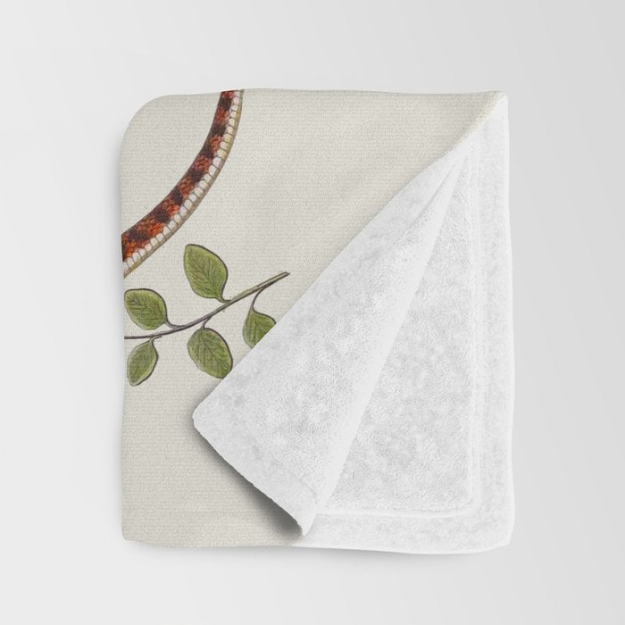 Snakes by Albertus Seba Throw Blanket Gallery Image 3