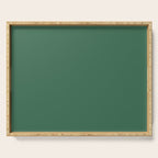 Green Solid Modern Retro Color Serving Tray Gallery Image 1