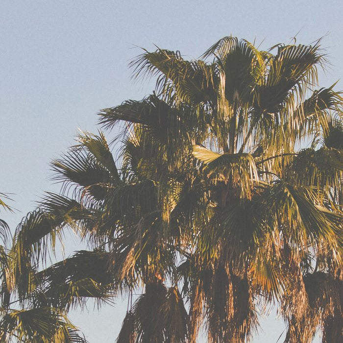 L.A. Coffee Mug Gallery Image 2