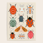 Beetles and butterfies Poster Gallery Image 4