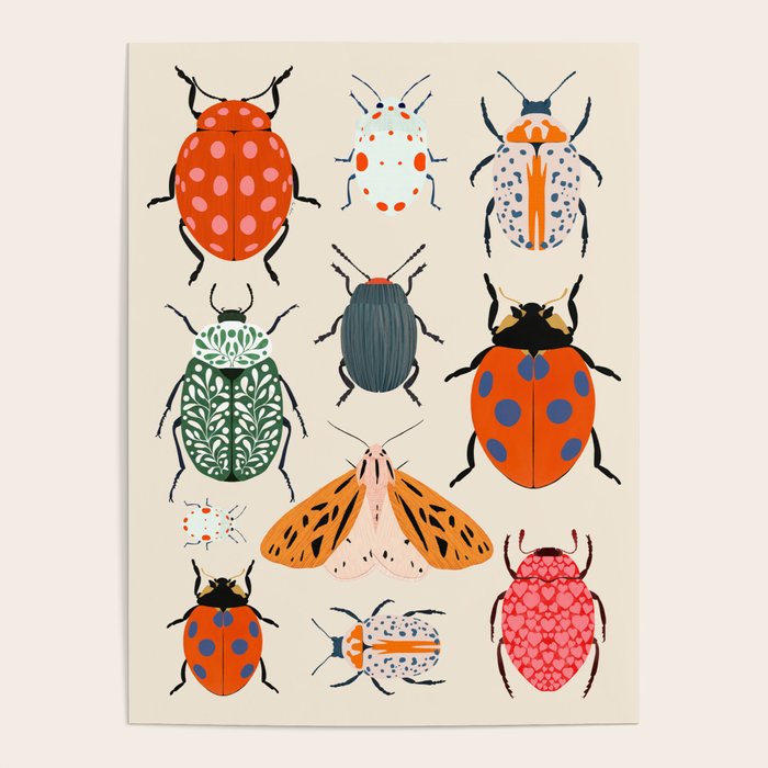 Beetles and butterfies Poster Gallery Image 4