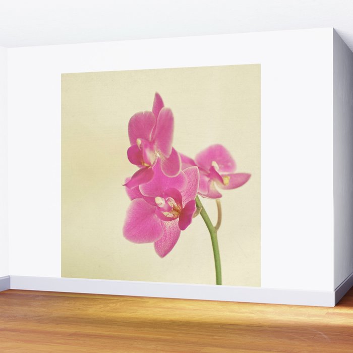 Pink Orchid Wall Mural Gallery Image 2