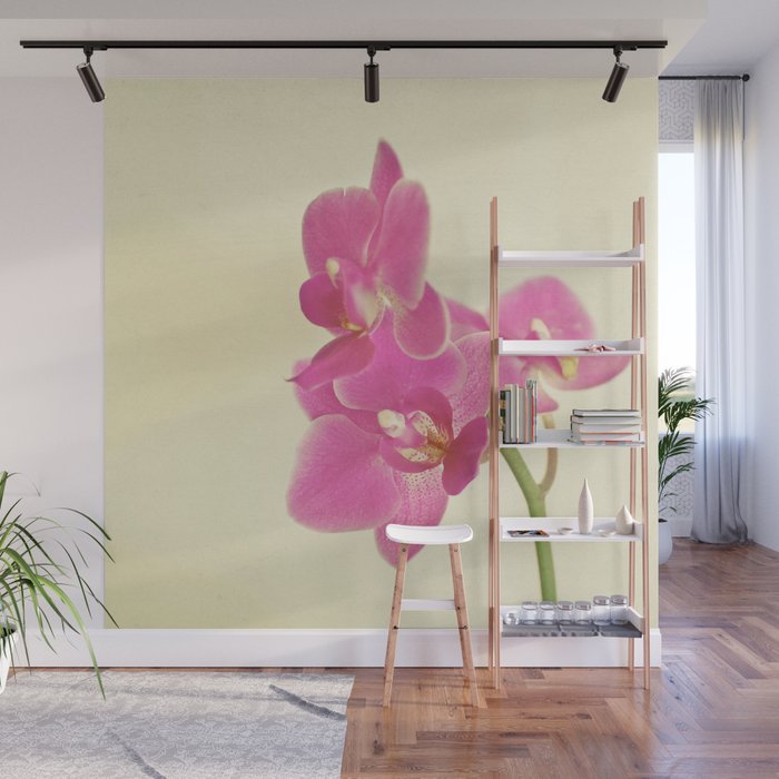Pink Orchid Wall Mural Gallery Image 1