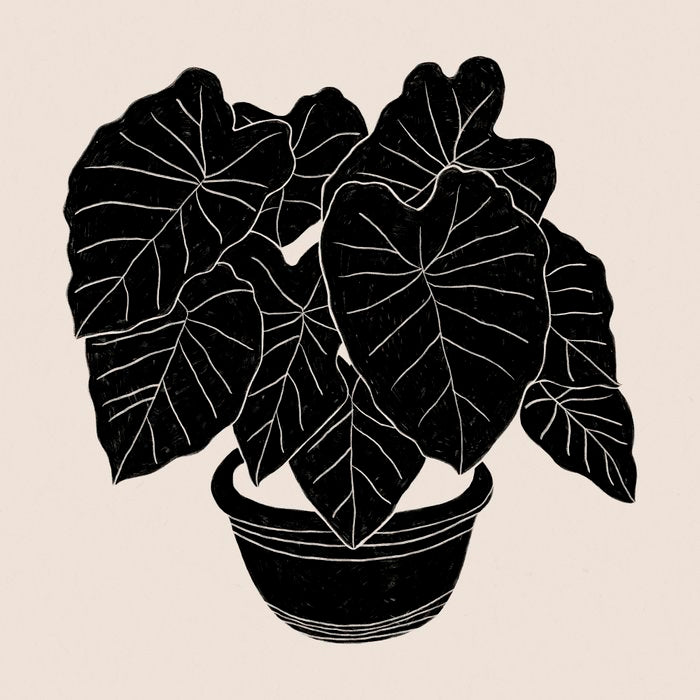 Black & White Plants / Elephant Ear Coffee Mug Gallery Image 2