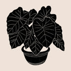 Black & White Plants / Elephant Ear Coffee Mug Gallery Image 2