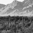 Wild West III - Tucson - Black & White version Coffee Mug Gallery Image 2