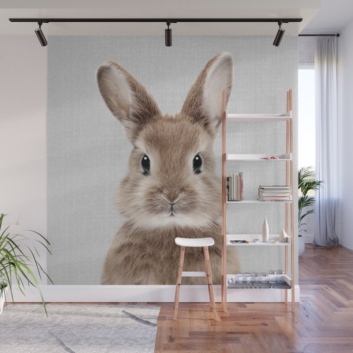 Baby Rabbit - Colorful Wall Mural Gallery Image 1