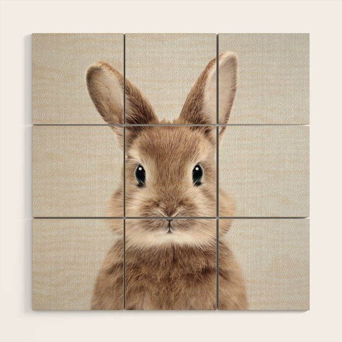 Baby Rabbit - Colorful Wood Wall Art Gallery Image 1
