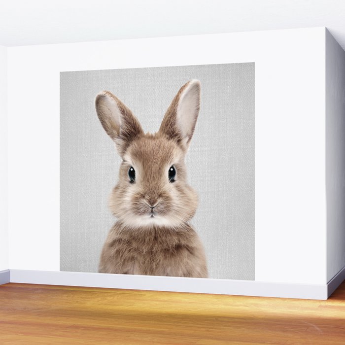 Baby Rabbit - Colorful Wall Mural Gallery Image 2