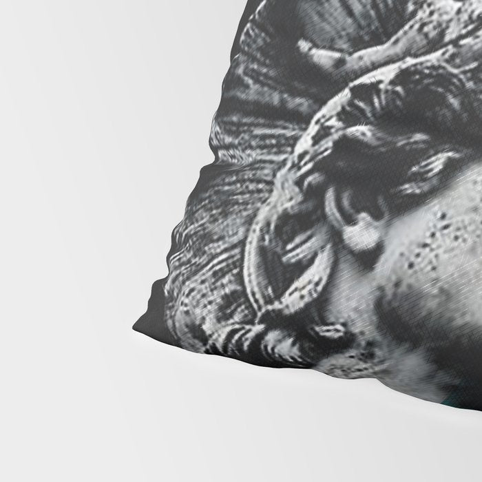 The tears of Achilles Pillow Sham Gallery Image 4