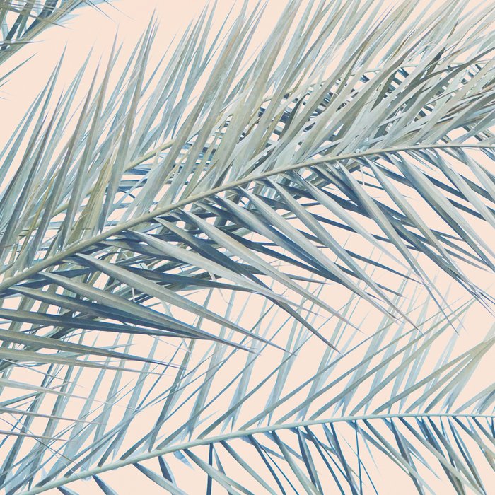 Tropical Palms on Blush Pink, Boho Nature Photography Coffee Mug Gallery Image 2