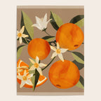 Oranges Botanical Art 2 Poster Gallery Image 4