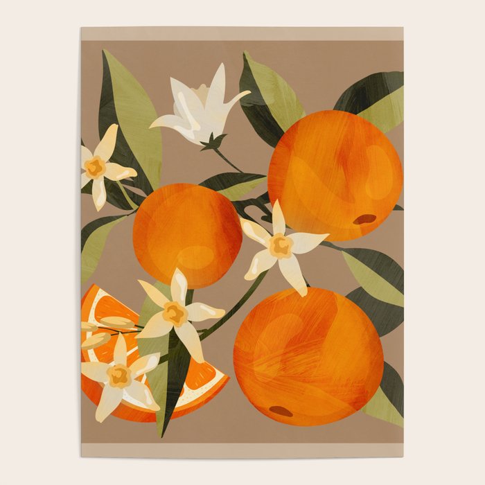 Oranges Botanical Art 2 Poster Gallery Image 4