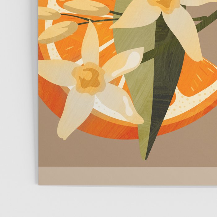 Oranges Botanical Art 2 Poster Gallery Image 3