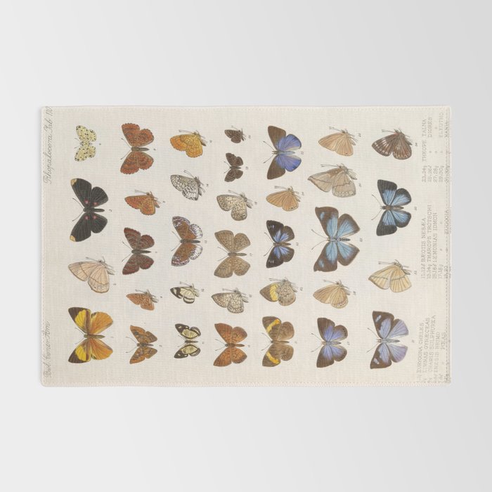 Vintage Scientific Insect Butterfly Moth Biological Hand Drawn Species Art Illustration Rug Gallery Image 2