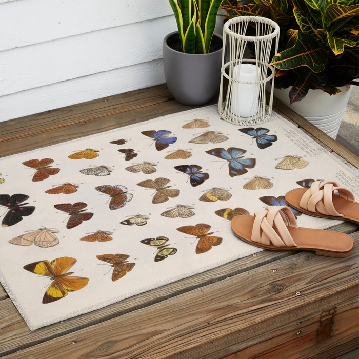 Vintage Scientific Insect Butterfly Moth Biological Hand Drawn Species Art Illustration Outdoor Rug Gallery Image 2