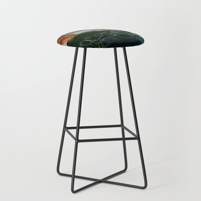 San Francisco Bridge Plant (Color) Stool Gallery Image 1